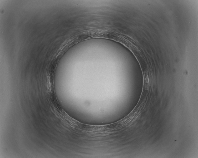 X0000080681252200612150729