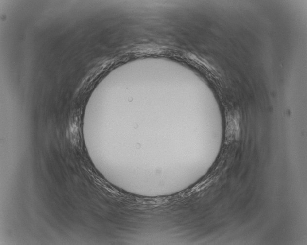 X0000080681254200612150729