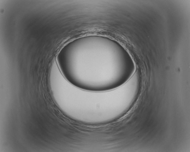 X0000080681257200612150729