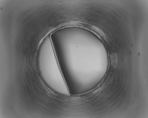 X0000080681260200612150729