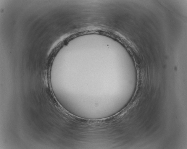 X0000080681262200612150729
