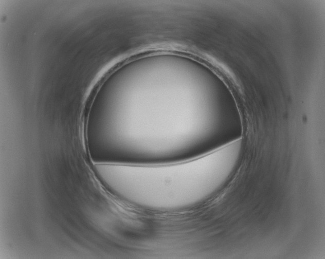 X0000080681272200612150729