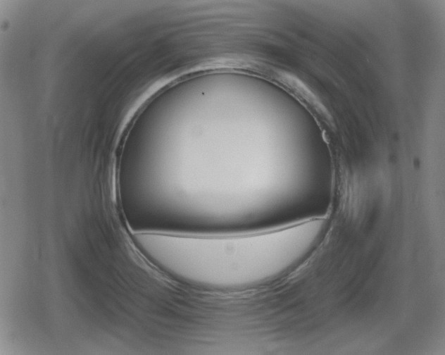 X0000080681276200612150729