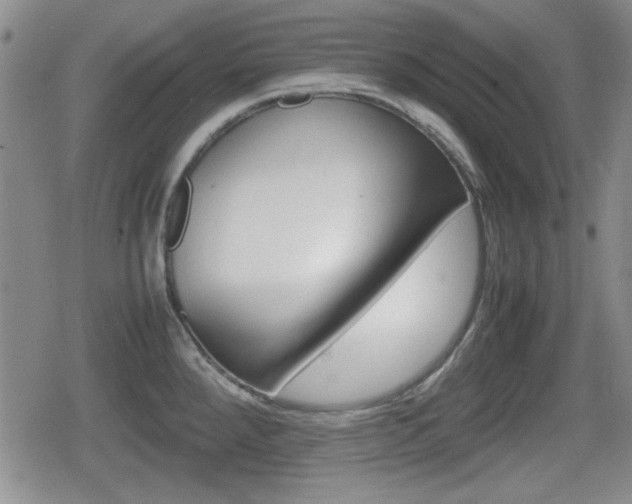 X0000080681288200612150729