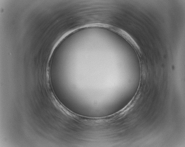 X0000080681292200612150729