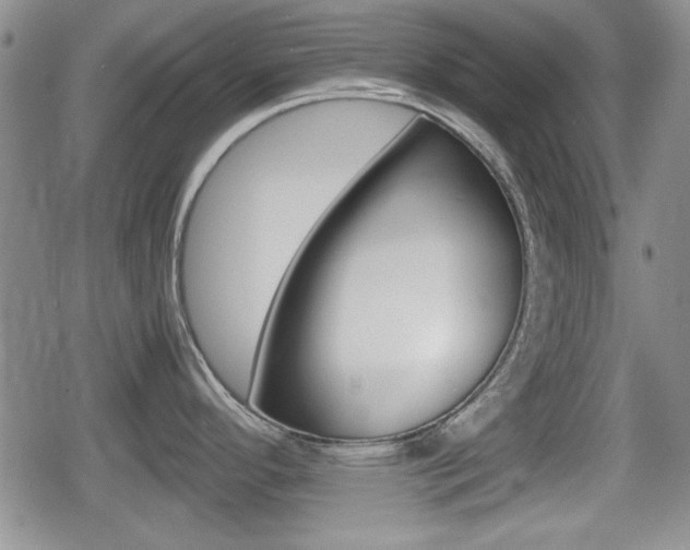 X0000080681296200612150729