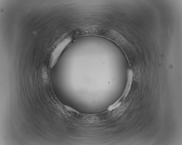 X0000080681298200612150728