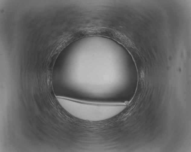 X0000080681300200612150728
