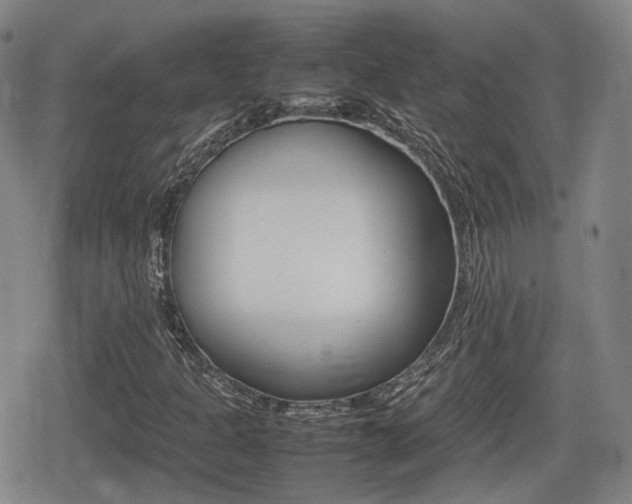 X0000080681301200612150728