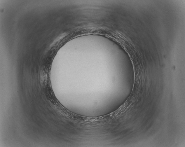 X0000080681302200612150728