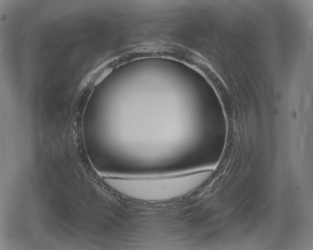 X0000080681304200612150728