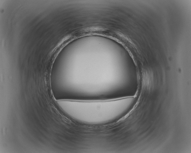 X0000080681305200612150728