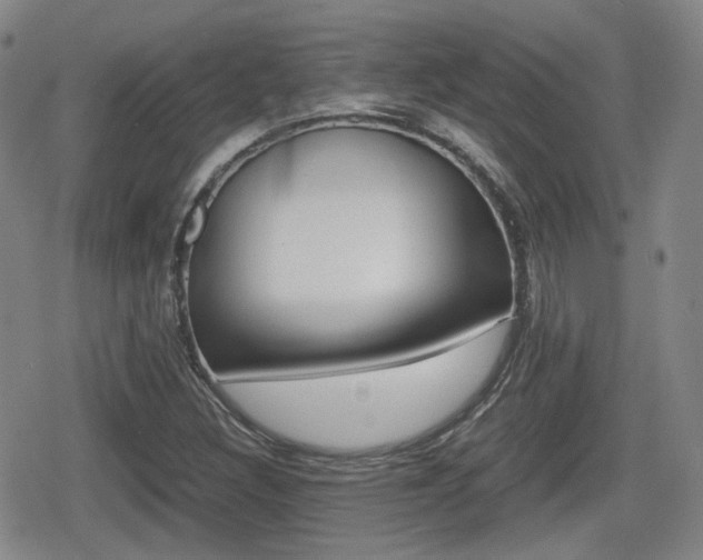 X0000080681308200612150728