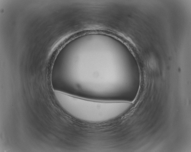 X0000080681311200612150728