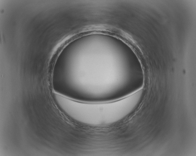 X0000080681312200612150728