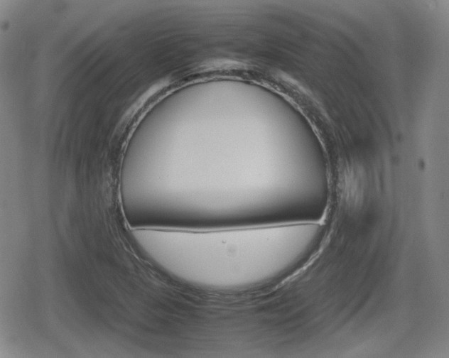 X0000080681313200612150728