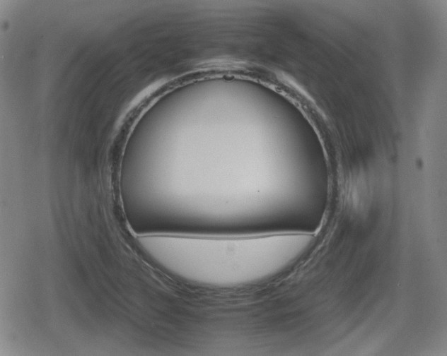 X0000080681315200612150728