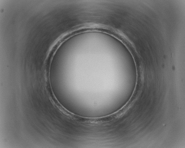 X0000080681318200612150728