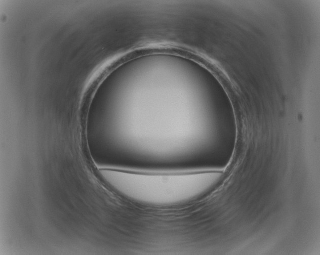 X0000080681319200612150728