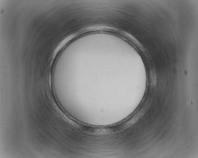 X0000080681322200612150728
