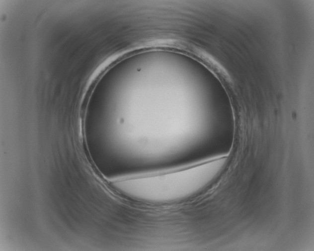 X0000080681324200612150728