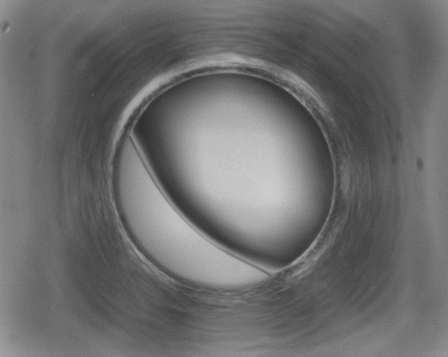 X0000080681326200612150728