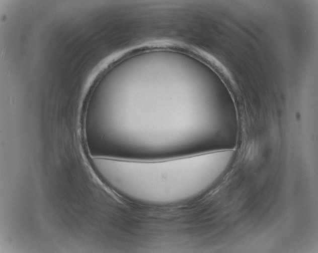 X0000080681327200612150728