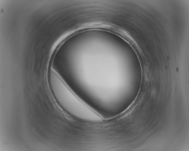 X0000080681328200612150728