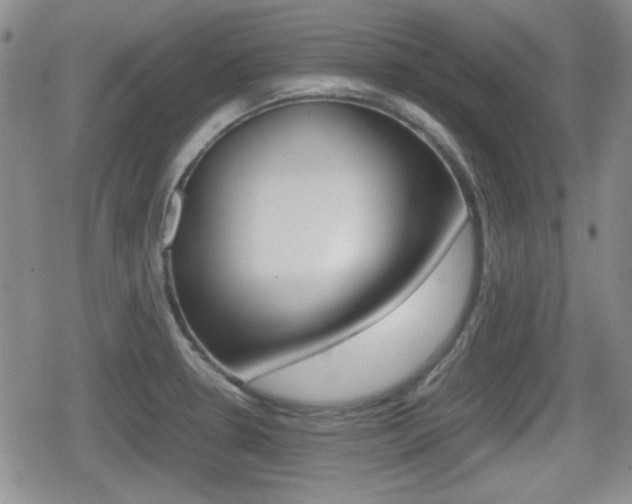X0000080681330200612150728