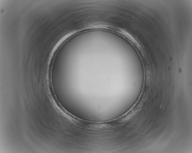 X0000080681331200612150728