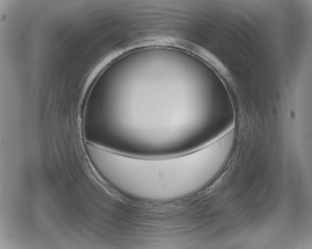 X0000080681332200612150728