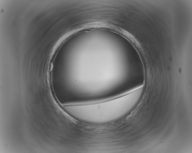 X0000080681334200612150728