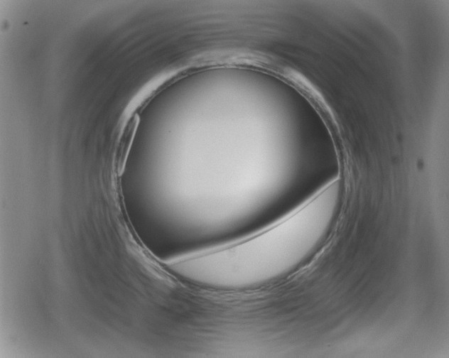 X0000080681336200612150728