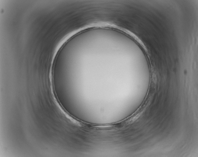 X0000080681343200612150729