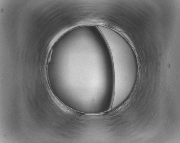 X0000080681344200612150729