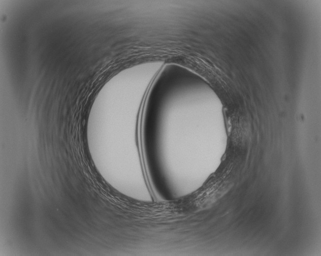 X0000080681345200612150728