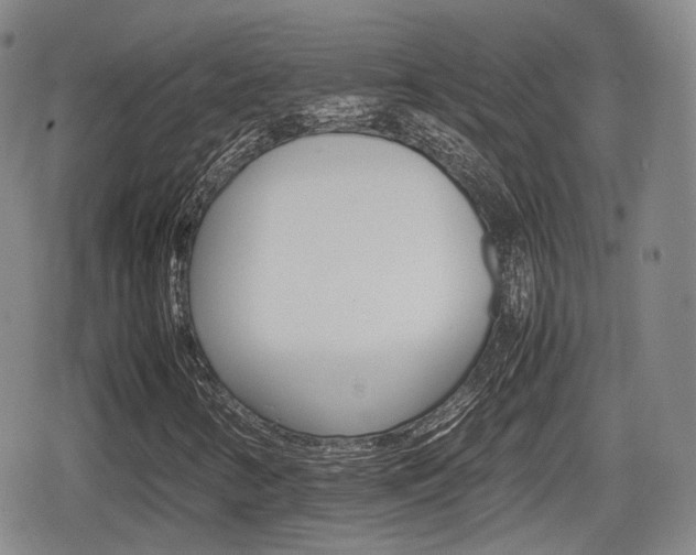 X0000080681346200612150728