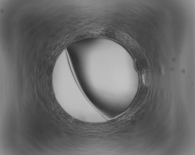 X0000080681347200612150728