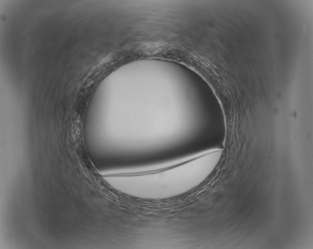 X0000080681349200612150728