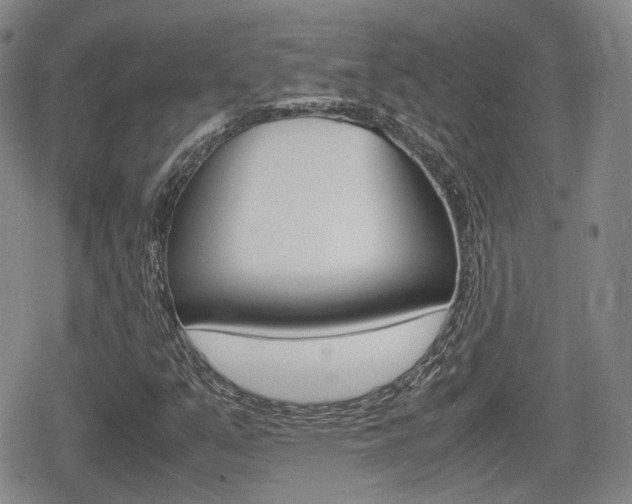 X0000080681351200612150728