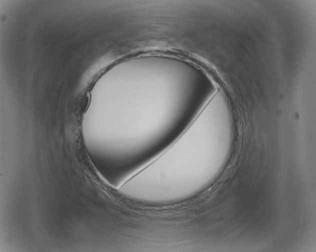 X0000080681359200612150728