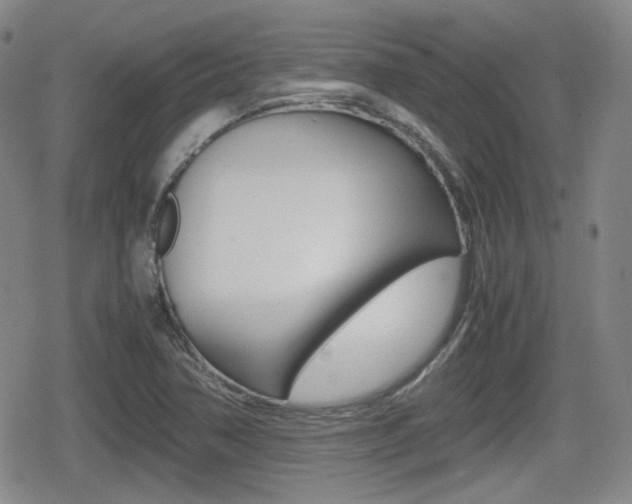 X0000080681362200612150728