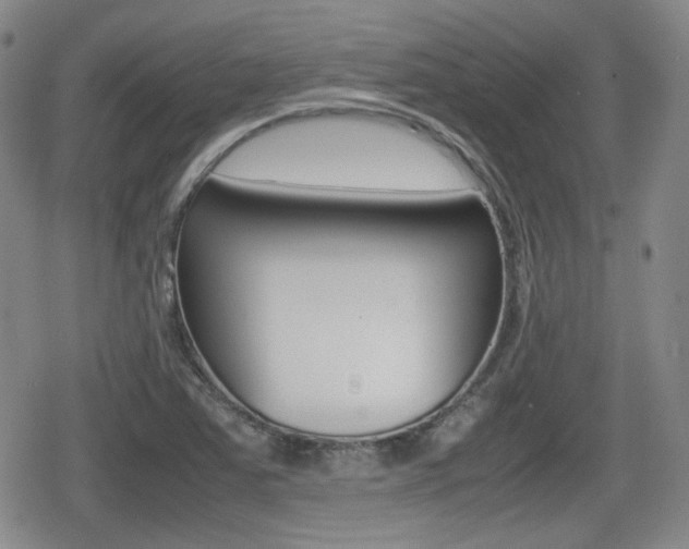 X0000080681363200612150727