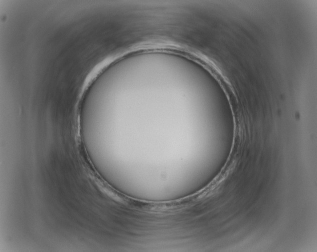 X0000080681366200612150727