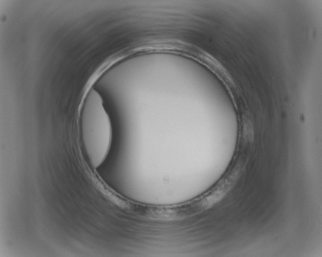 X0000080681370200612150727