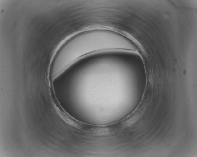 X0000080681372200612150727