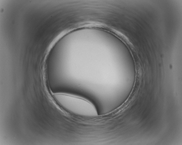 X0000080681375200612150727