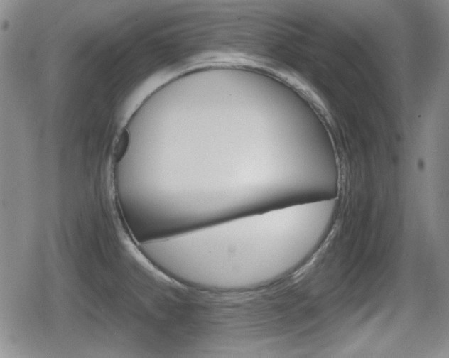 X0000080681382200612150727