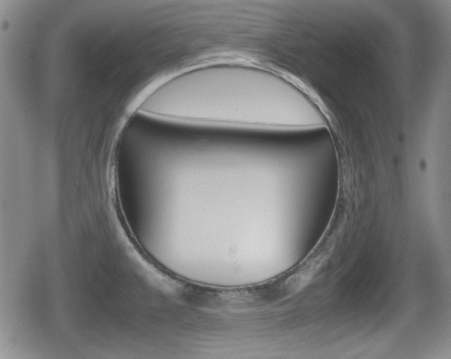X0000080681383200612150727