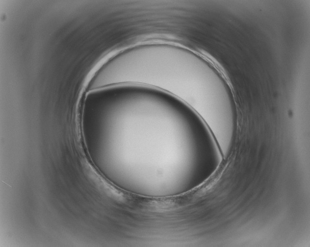 X0000080681384200612150727